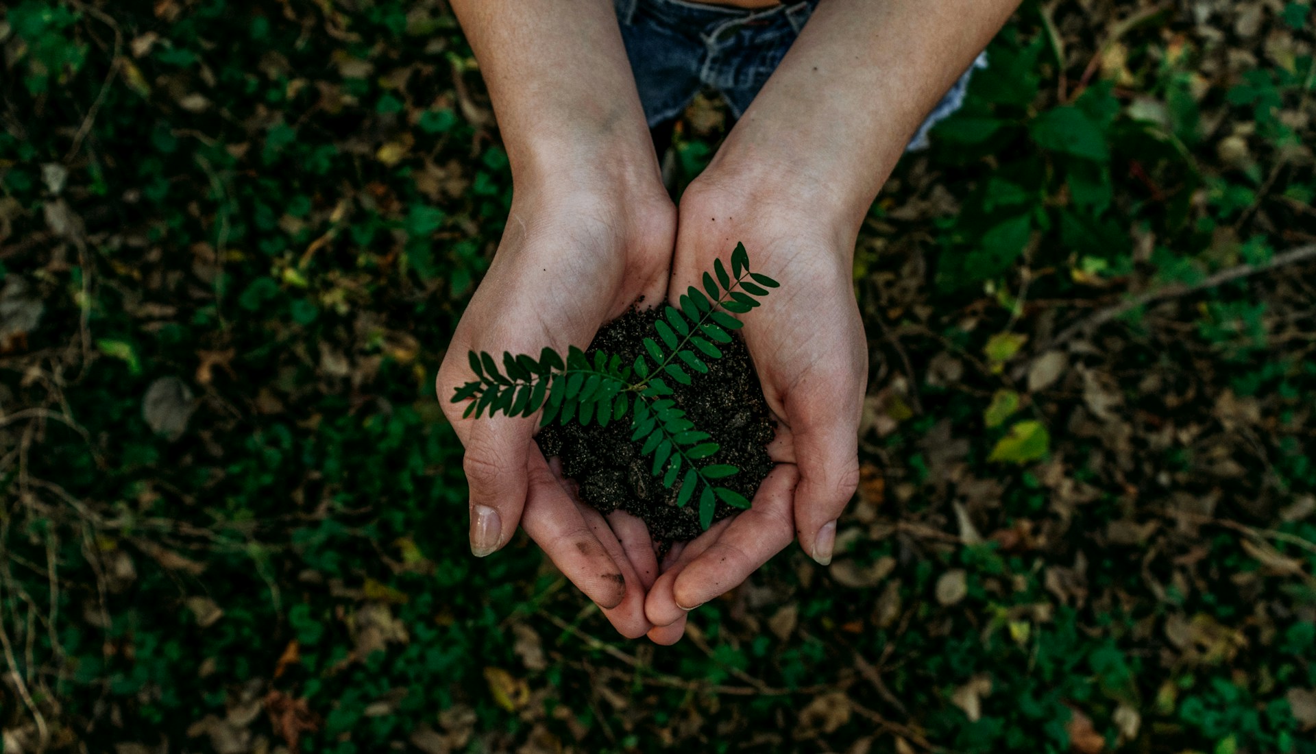 Understanding the Circular Economy: What It Is and Why It Matters